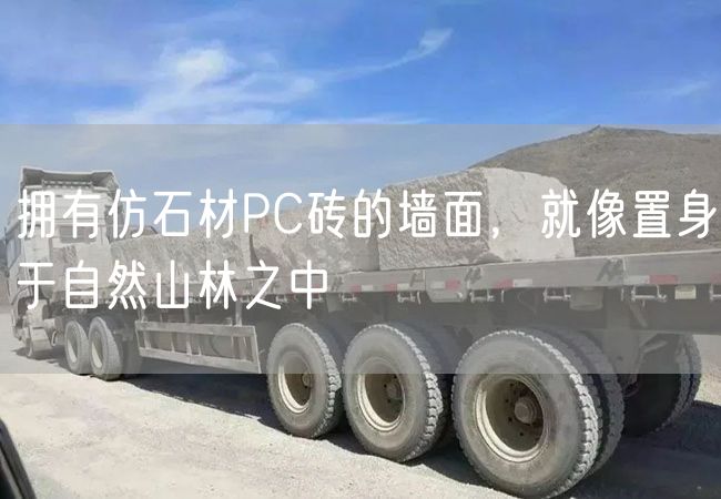 擁有仿石材PC磚的墻面，就像置身于自然山林之中