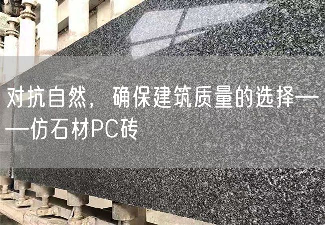 對(duì)抗自然，確保建筑質(zhì)量的選擇——仿石材PC磚