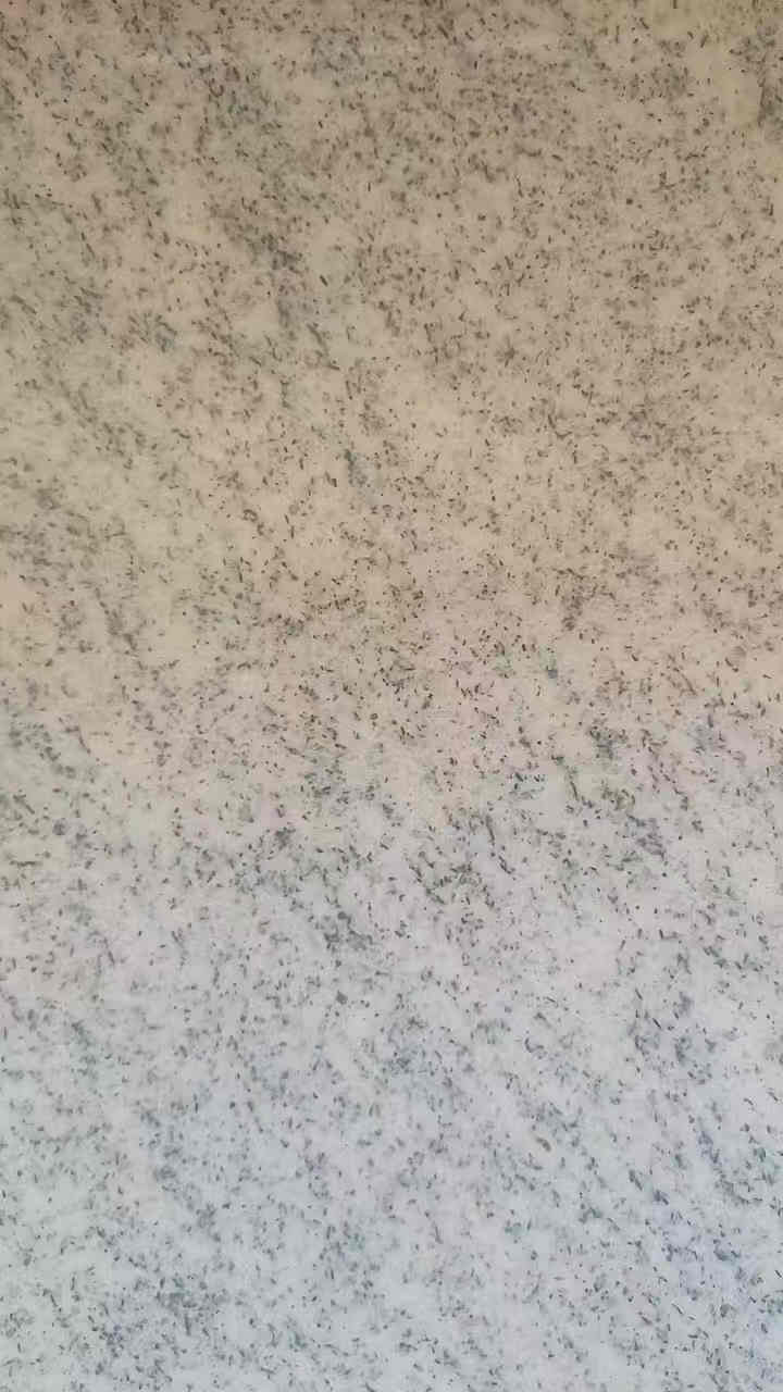 白麻 芝麻白報(bào)價(jià)一平方