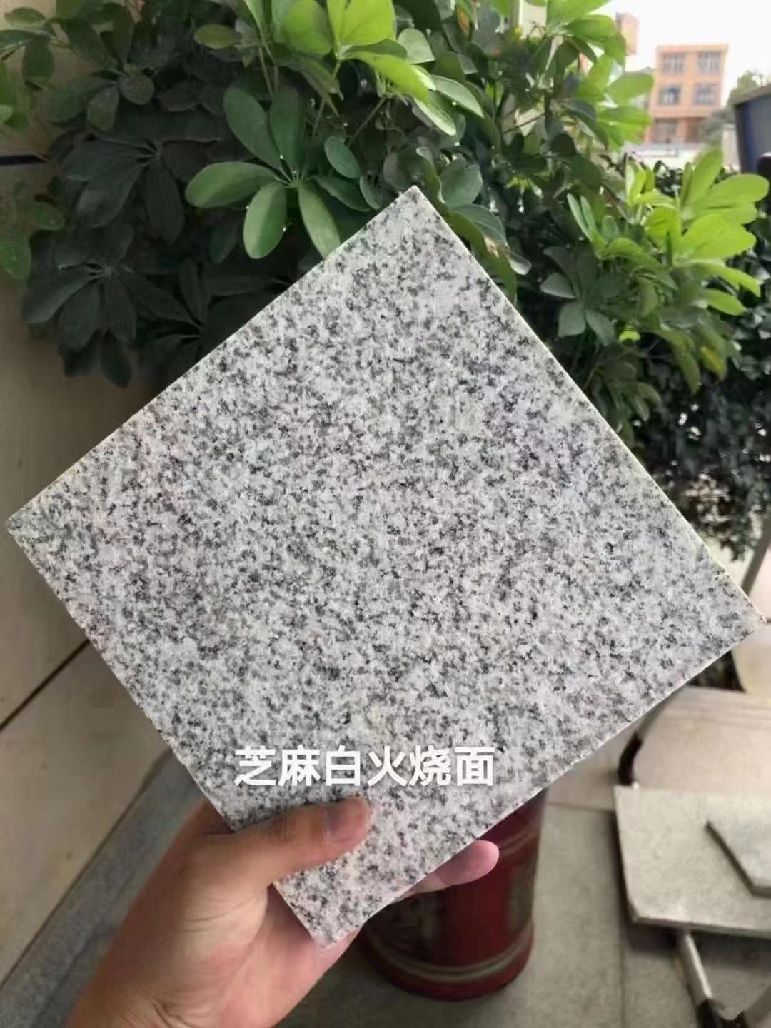 芝麻白石材多少錢一平方市場(chǎng)價(jià)(圖2)